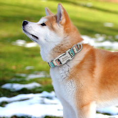 Personalized Dog Collar