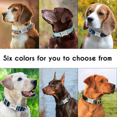 Personalized Dog Collar